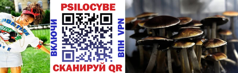 Псилоцибиновые грибы GOLDEN TEACHER  KRAKEN ТОР  shop официальный сайт  Тара 